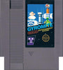 NES Gyromite
