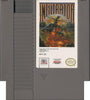 NES Infiltrator