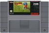 SNES The Irem Skins Game