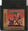 NES Gauntlet - Tengen Cartridge