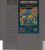 NES Ghosts N Goblins