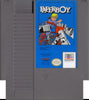 NES Paperboy