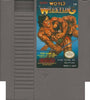 NES Tecmo World Wrestling