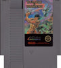 NES Wizards & Warriors