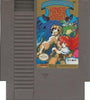 NES Kings Knight