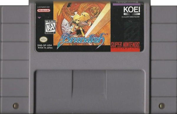 SNES Brandish