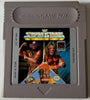GB WWF Superstars