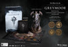 PS4 Elder Scrolls Online - Greymoor - Collector's Edition - Complete with Big Box, Steelbook, Vampire Lord Statue, Collectible Coins and Greymoor Map - DLC MAY NOT BE INCLUDED - ONLINE ONLY - PS PLUS REQUIRED