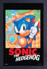 Gamer Gear - FRAMED ART - 11x17 - SEGA - Sonic - Sonic the Hedgehog - Cover