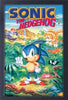Gamer Gear - FRAMED ART - 11x17 - SEGA - Sonic - Sonic the Hedgehog 3